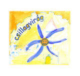 8. Csillagvirág csoport 8. Csillagvirág csoport